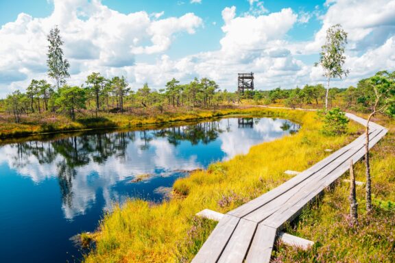 Kemeri National Park, established in 1997, the third-largest national park in Latvia