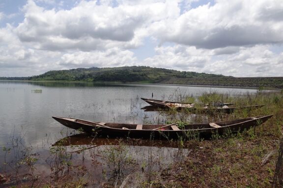 Kossou Lake, Despite, home to a diverse range of flora and fauna