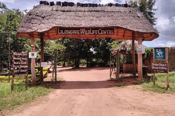 Lilongwe Wildlife Centre, established in 2007