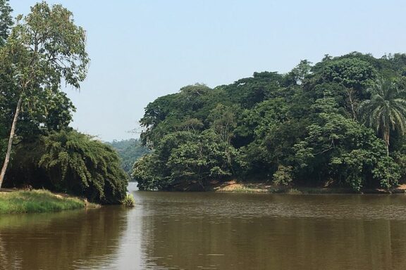 Tropical River Valley Parc de la Vallee de La Nsele