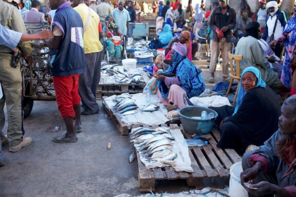 Bustling Fish Market Scene Women selling fish in Nouakchott