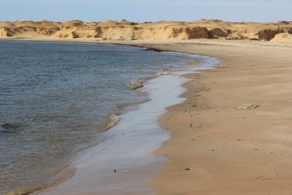 Coastline of Banc d'Arguin National Park Sandy beaches in the Parc National du Banc d'Arguin