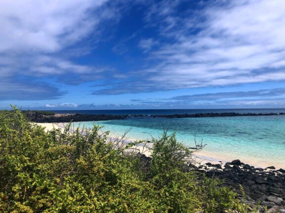 A view of the beach on Pinzón Island in the Galapagos.