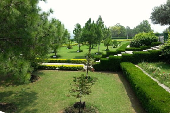 Greenery and walking trails in the Shakarparian National Park