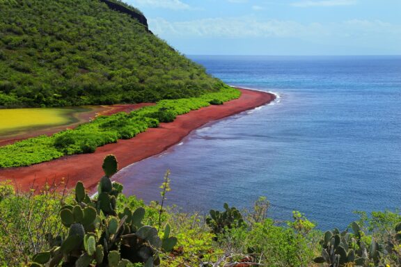 A view of a red beach backed by a lush, green hill on Rábida Island.