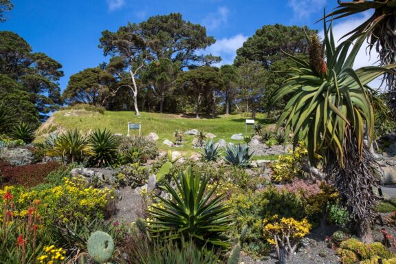 Wellington Botanical Garden, established in 1868