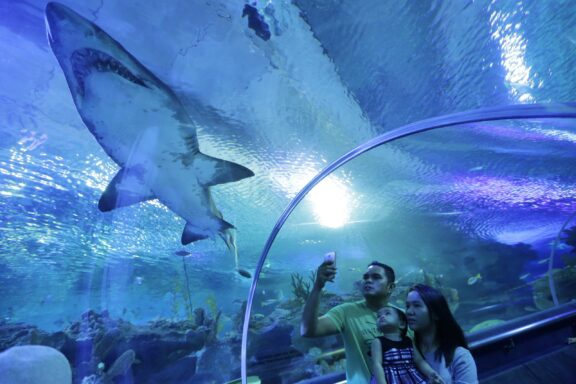 Visitors Taking a Selfie in an Underwater Tunnel Aquarium with a Shark Swimming Overhead Aquaria KLCC, home to diverse marine life and ecological education