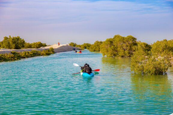 Kayaking in Mangrove Park Kayak in the Jubail Mangrove Park, Abu Dhabi
