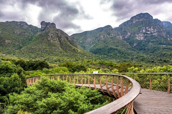 Walkway in the Kirstenbosch National Botanical Garden