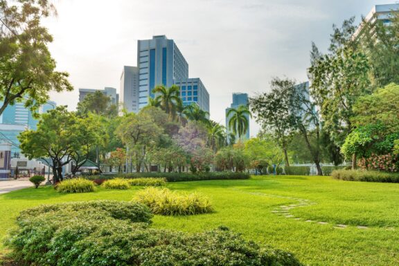 Urban Park with Skyscrapers in the Background Lumphini Park, one of the best places in Bangkok for outdoor activities