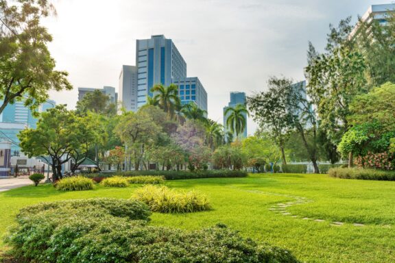 Lumphini Park, one of the best places in Bangkok for outdoor activities