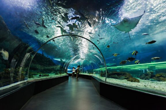 Walkway tunnel inside the Manila Ocean Park