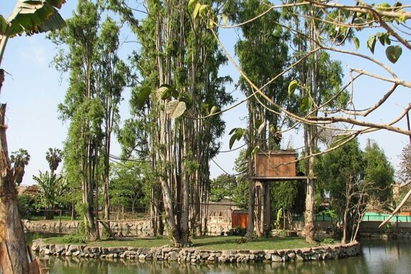 Monkey Island within the Leyendas Park, Lima's first zoo