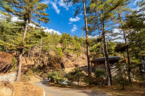 Forest Path Leading to a Building at Motithang Takin Preserve Motithang Takin Preserve, a natural habitat for the Takin, Bhutan's national animal