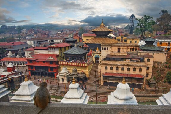Pashupatinath Temple Complex in Nepal with Monkey in Foreground Pashupatinath Temple, a vital Hindu temple dedicated to Lord Shiva