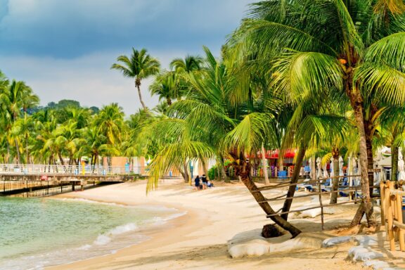 Tropical Beach with Palm Trees Beach on Sentosa Island