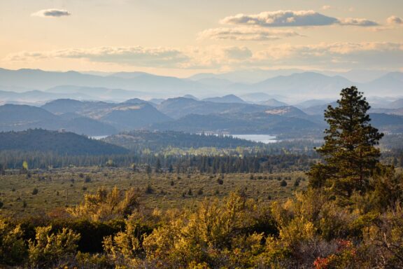 A view of rolling hills and countryside in the Shasta-Trinity National Forest.