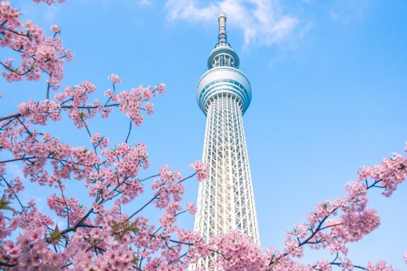 Tokyo Skytree Tower with Cherry Blossoms Tokyo Skytree, with a staggering height of 634 meters (2,080 feet)
