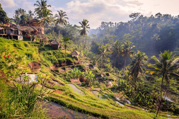 Green rice terraces and small buildings occupy a jungle hillside on the island of Bali.