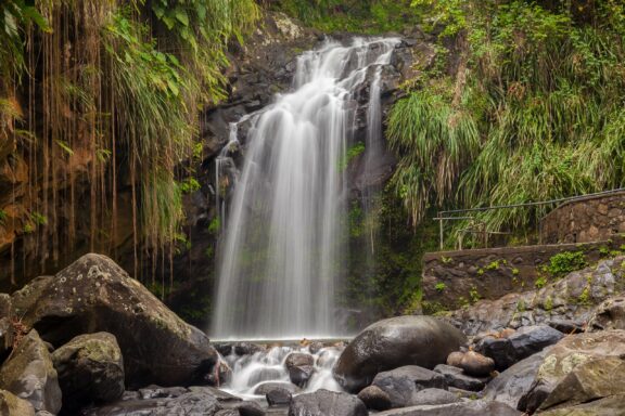 Tropical Waterfall with Lush Greenery Annandale Falls, a tranquil setting for visitors interested in nature