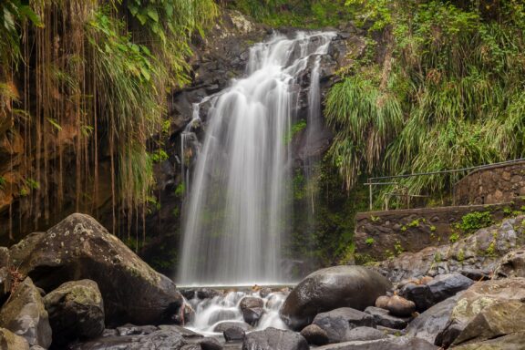 Annandale Falls, a tranquil setting for visitors interested in nature