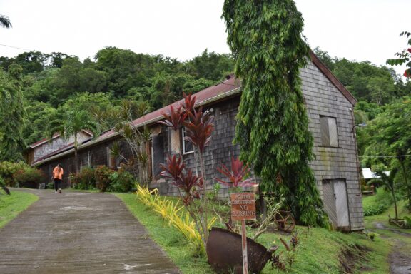 Stone Building Surrounded by Lush Greenery Belmont Estate, a 17th-century plantation that has been transformed into an agri-tourism destination