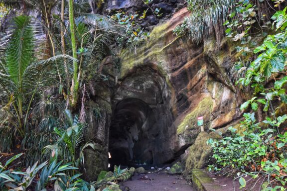Tropical Forest Tunnel Entrance Byera st vincent and the grenadines january 4 2020: the black