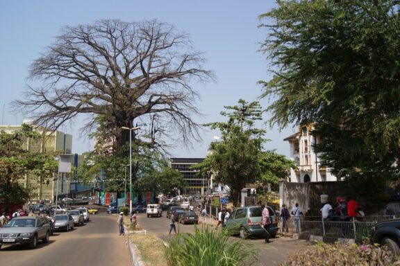 Baobab Tree Overlooking a Busy Street Scene Cotton Tree, a revered symbol of Freetown, said to have existed for over 500 years