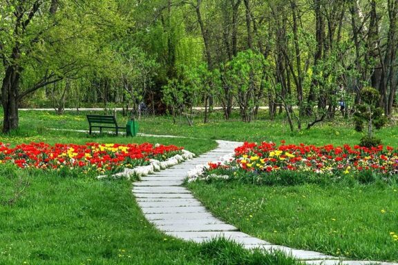 Pathway Through a Colorful Garden Park Dendrarium Park, a botanical haven in Chisinau