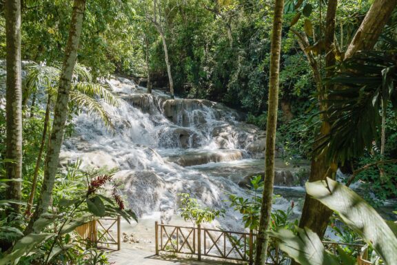 Tropical Waterfall and Forest The World Famous Dunn's River Falls & Park