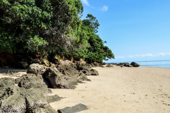 Tropical Beach with Rocks and Trees Inhaca Island, known for its coral reefs and diverse marine life