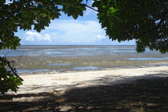 Tropical Beach View from Under the Shade of Trees Melekeok Bay, known for its tranquil beauty and clear waters