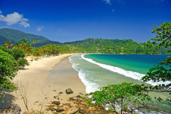 Tropical Beach with Lush Greenery Maracas Bay, renowned for its golden sands and popular "bake and shark" stands