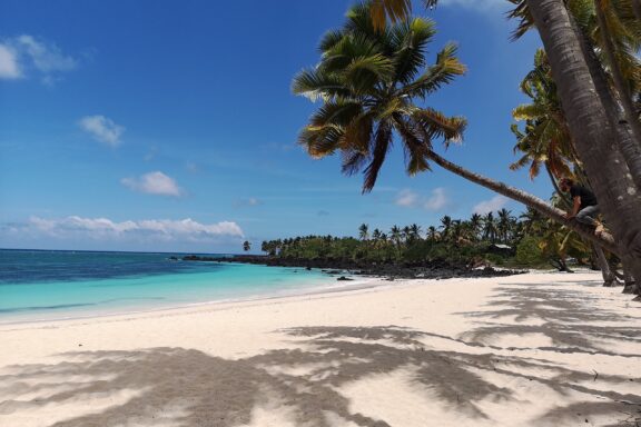 Tropical Beach with Palm Trees Moroni Beach, a popular location known for its scenic views and diverse marine life