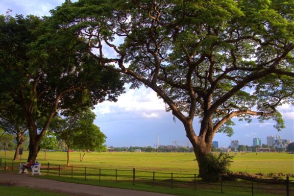 Queen's Park Savannah, the largest roundabout in the world