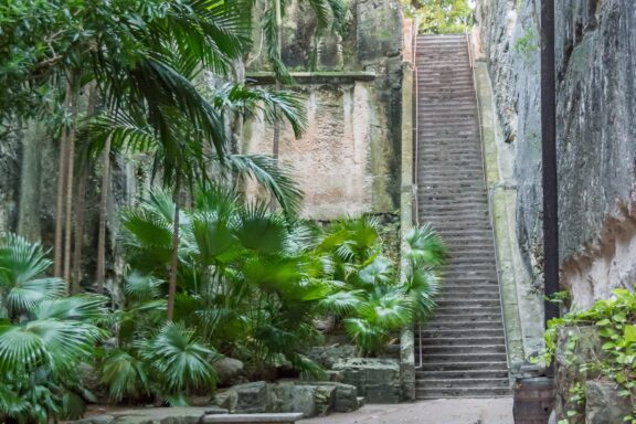 Stone Staircase Amidst Tropical Vegetation Queen's Staircase, carved out of solid limestone by slaves in the late 18th century
