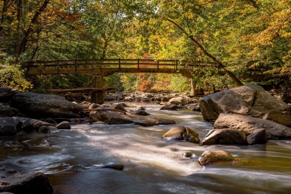 Wooden Bridge Over Forest Stream Rapids Rapids Bridge at Rock Creek Park