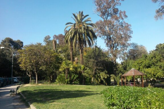 Palm Trees and Gazebo in Belvedere Park, Tunis Belvedere Park, the largest in Tunis