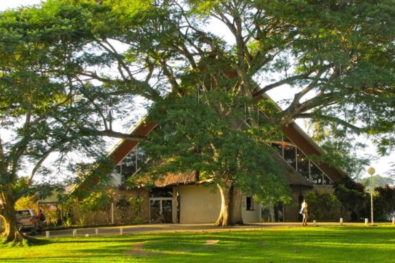 Vanuatu National Museum, home to a collection of artifacts and exhibits that preserve Vanuatu's cultural heritage