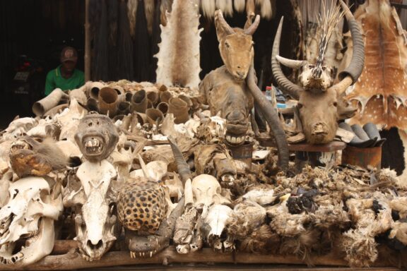 Voodoo Market in Lomé, offering a window into traditional West African spirituality