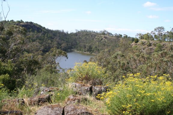 Lake surprise can be seen from the top of a hill through thick foliage in the Budj Bim Cultural Landscape.