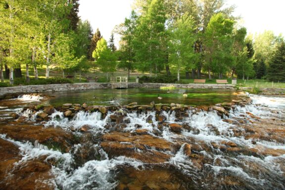 Canadian geese sit in a pool of water at Giant Springs State Park in Cascade County, Montana.