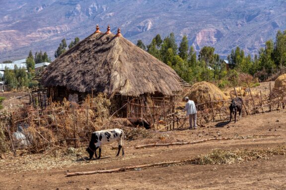 A farmer repairs a cattle fence in front of his hut in Ethiopia’s Oromia Region. 