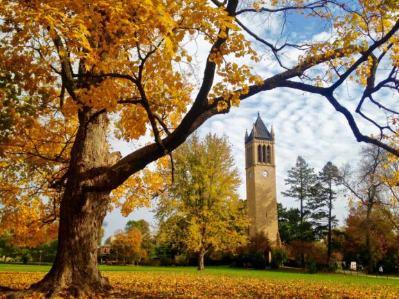 A view of a clock tower and a tree with fall foliage on the Iowa State University campus.