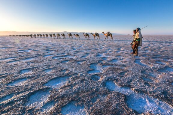 A long line of camels loaded down with salt travel through the Danakil Depression, guided by Afar men.