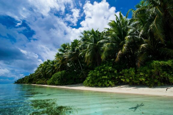 Tropical Beachfront with Lush Greenery Ant Atoll, known for its crystal-clear waters and vibrant marine life