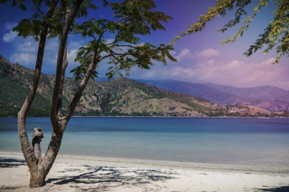 Tropical Beach with Palm Trees and Mountain View Areia Branca Beach, underscoring Dili's role as a coastal city
