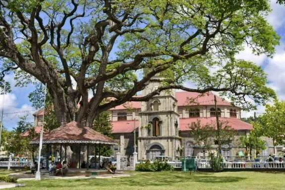 Tree and Building in Derek Walcott Square Derek Walcott Square, a gathering spot that showcases monuments and the island's history