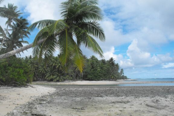 Tropical Beach with Palm Trees Islet of Eneko, a tranquil retreat from urban Majuro