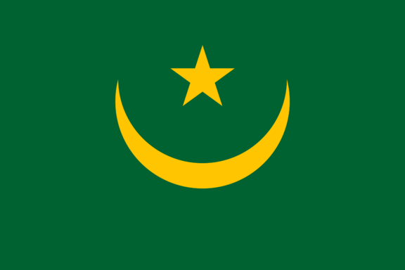 Green flag with a yellow crescent moon and star centered.